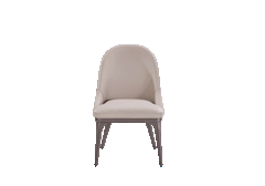 A008 Dining Chair, product view 2