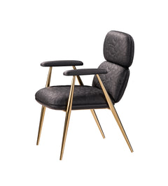 A010 Dining Chair, product view 2